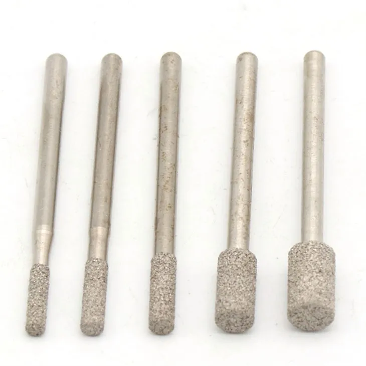 Insectă cu ac de diamant